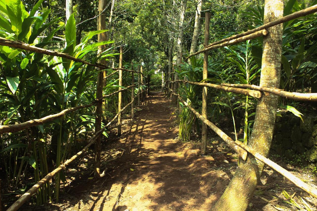 Chinnakanal The Siena Village מראה חיצוני תמונה